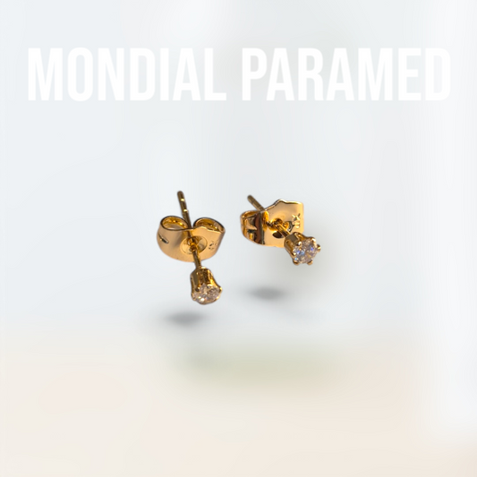 Boucle d'Oreilles #09
