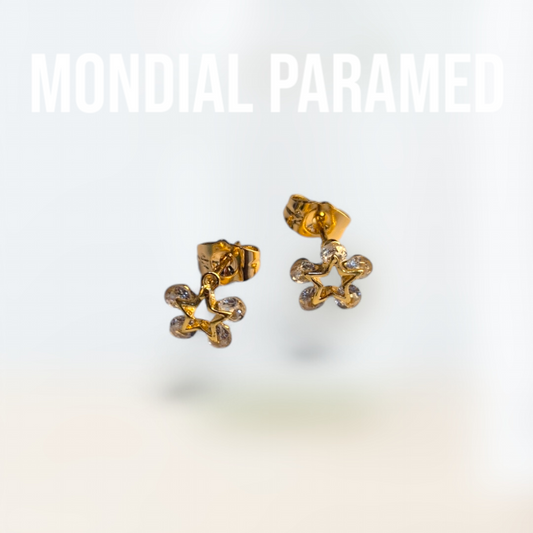 Boucle d'Oreilles #61