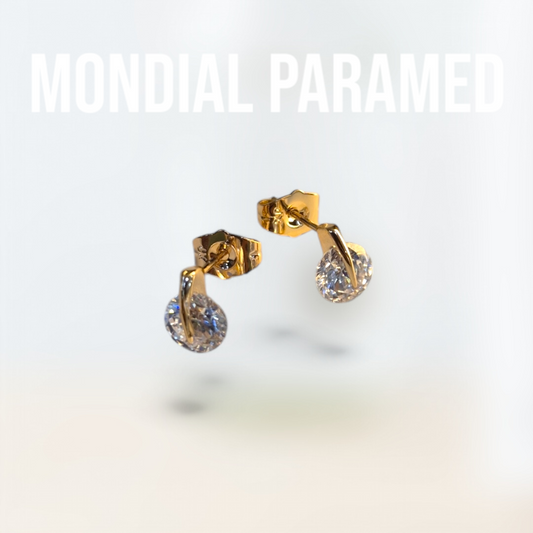 Boucle d'Oreilles #62