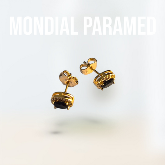 Boucle d'Oreilles #63
