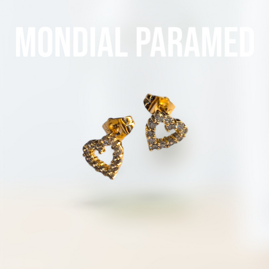 Boucle d'Oreilles #64