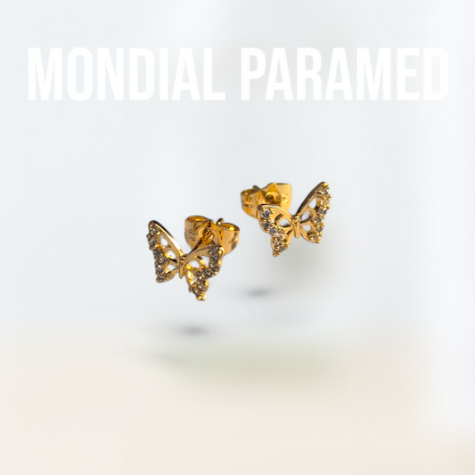 Boucle d'Oreilles #66