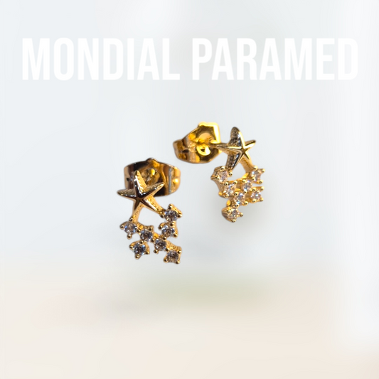 Boucle d'Oreilles #67