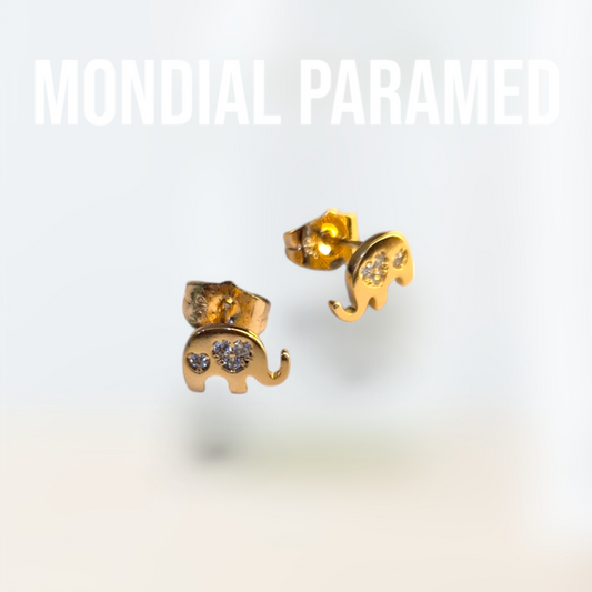 Boucle d'Oreilles #68