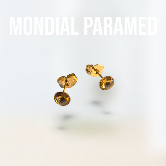 Boucle d'Oreilles #50