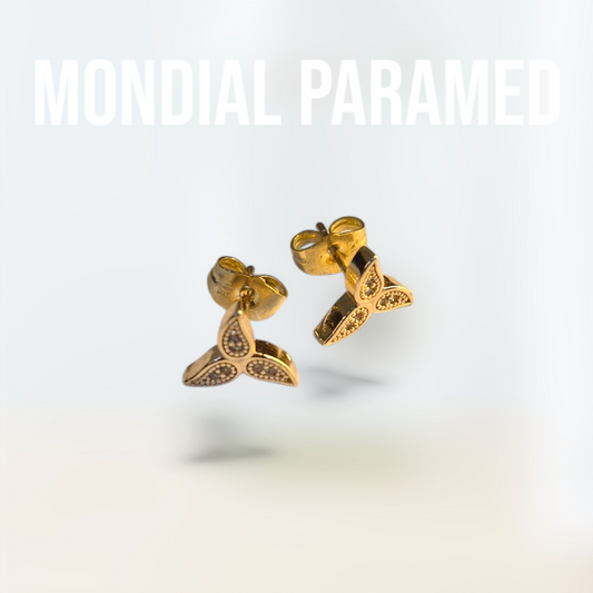 Boucle d'Oreilles #69