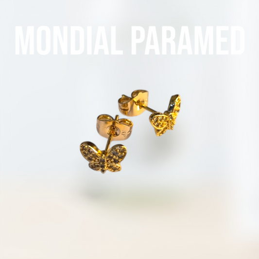 Boucle d'Oreilles #70