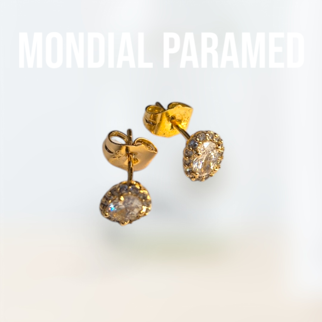 Boucle d'Oreilles #71