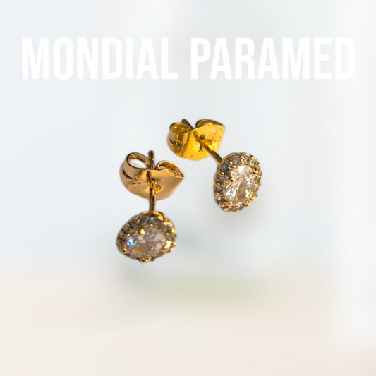 Boucle d'Oreilles #71