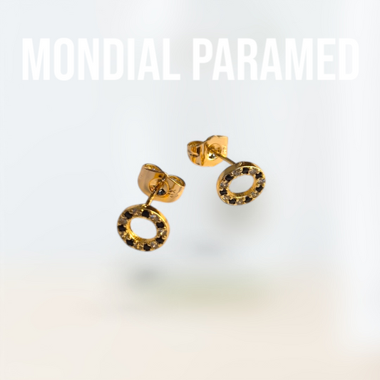 Boucle d'Oreilles #72