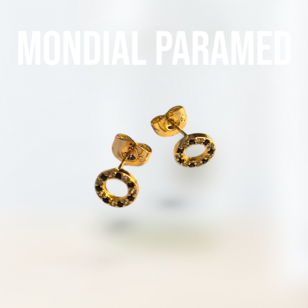 Boucle d'Oreilles #73