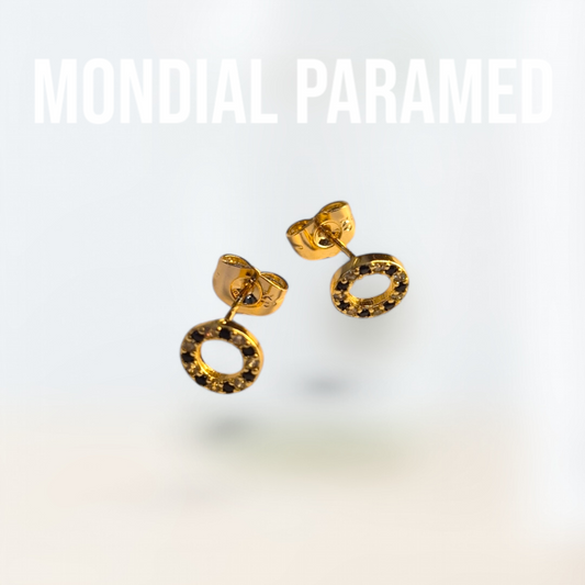 Boucle d'Oreilles #73