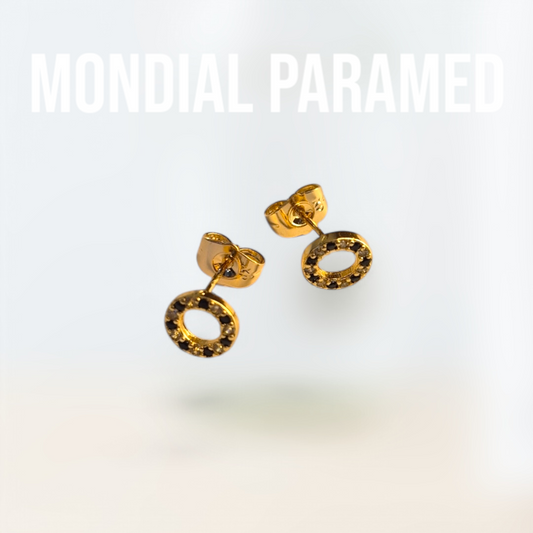 Boucle d'Oreilles #74