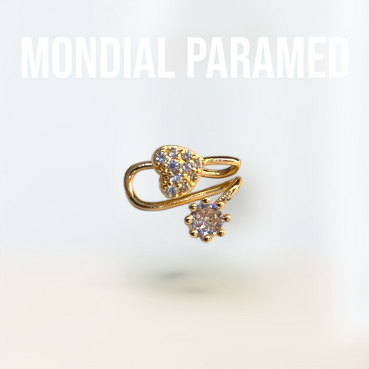 Boucle d'Oreilles #89