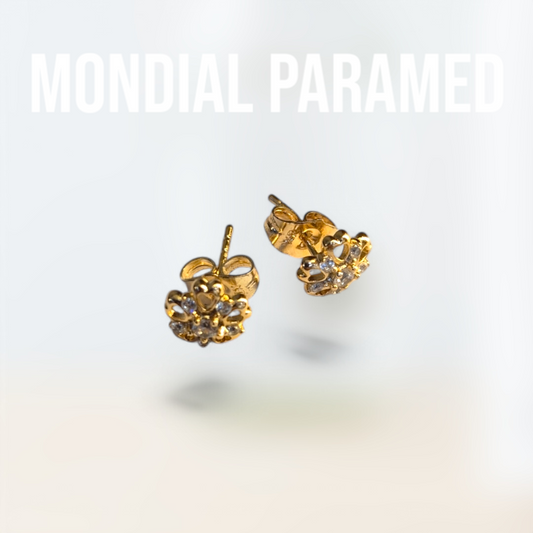 Boucle d'Oreilles #83