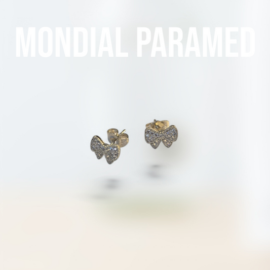Boucle d'Oreilles #109