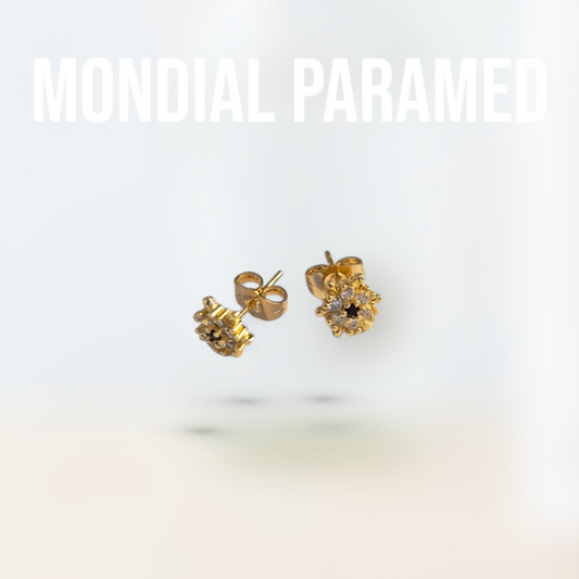 Boucle d'Oreilles #111
