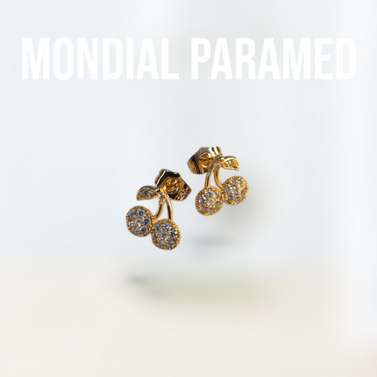 Boucle d'Oreilles #112