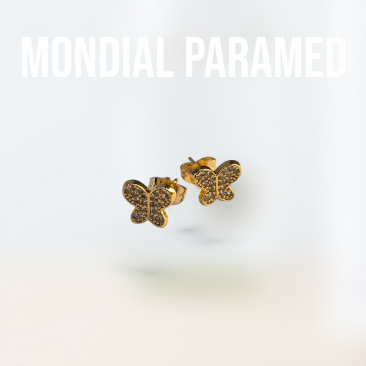 Boucle d'Oreilles #113
