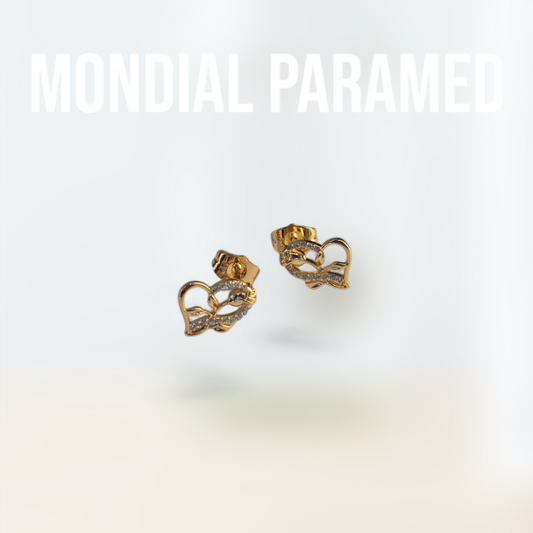 Boucle d'Oreilles #114