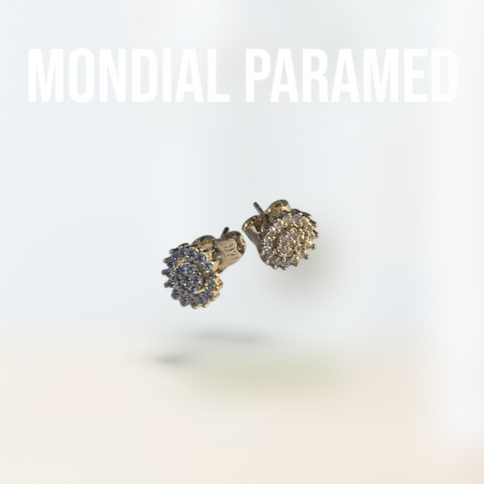 Boucle d'Oreilles #115