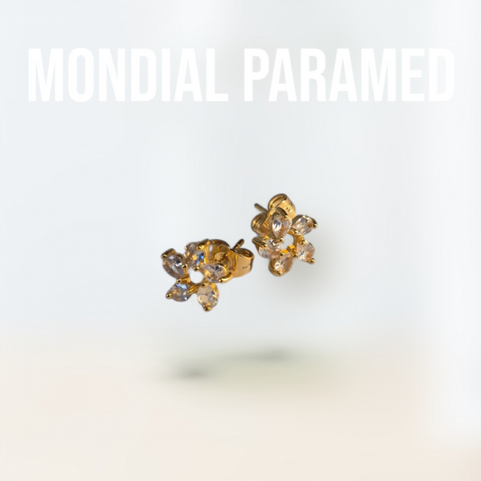 Boucle d'Oreilles #117