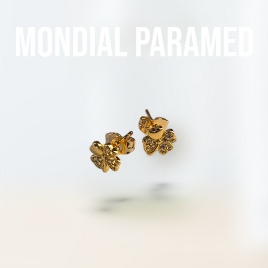 Boucle d'Oreilles #118