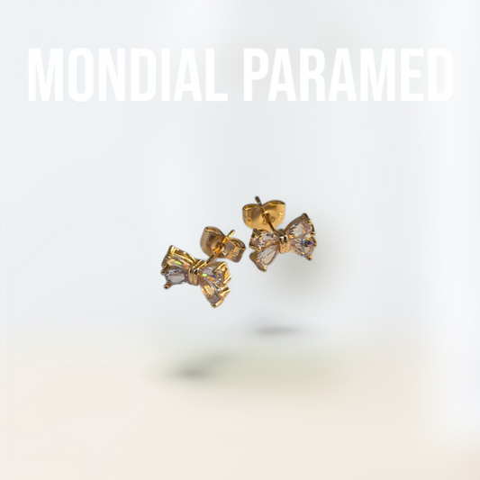 Boucle d'Oreilles #100