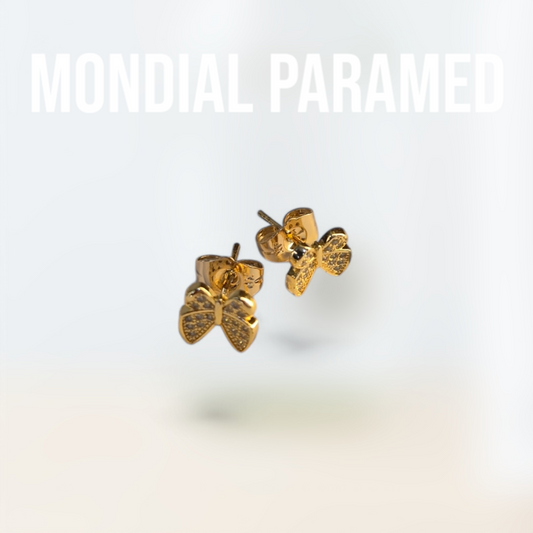 Boucle d'Oreilles #120