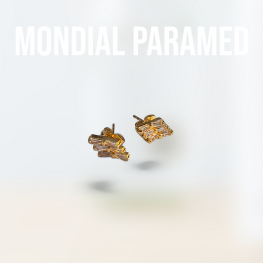Boucle d'Oreilles #121