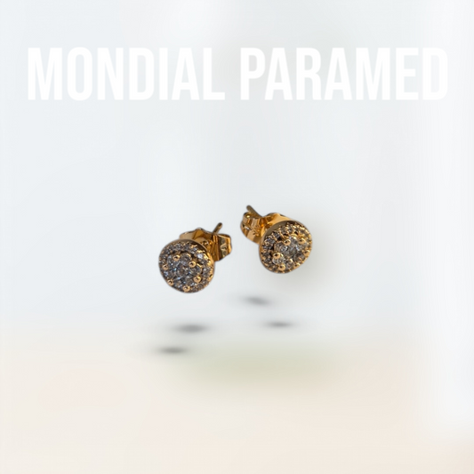 Boucle d'Oreilles #122