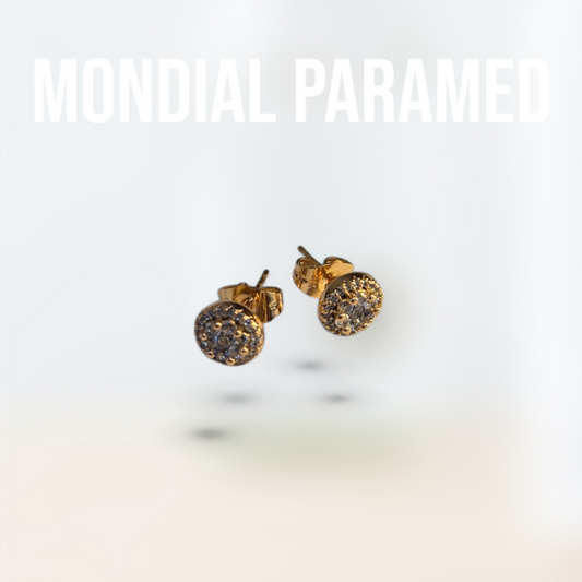 Boucle d'Oreilles #123
