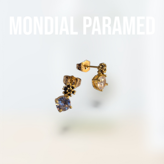 Boucle d'Oreilles #124