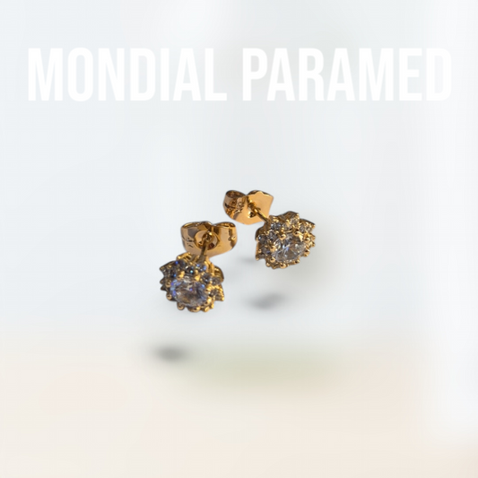 Boucle d'Oreilles #125