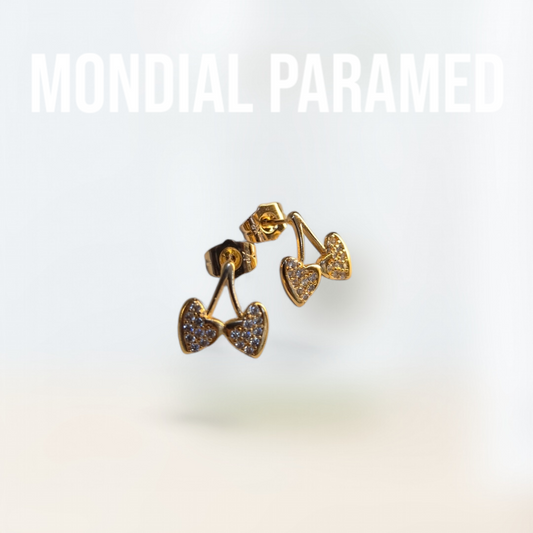 Boucle d'Oreilles #126