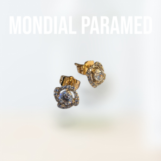 Boucle d'Oreilles #102