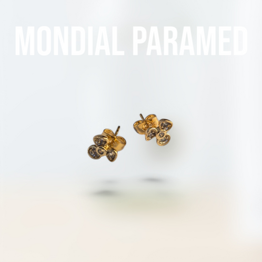 Boucle d'Oreilles #103