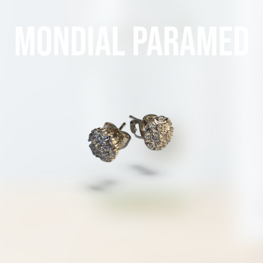 Boucle d'Oreilles #104