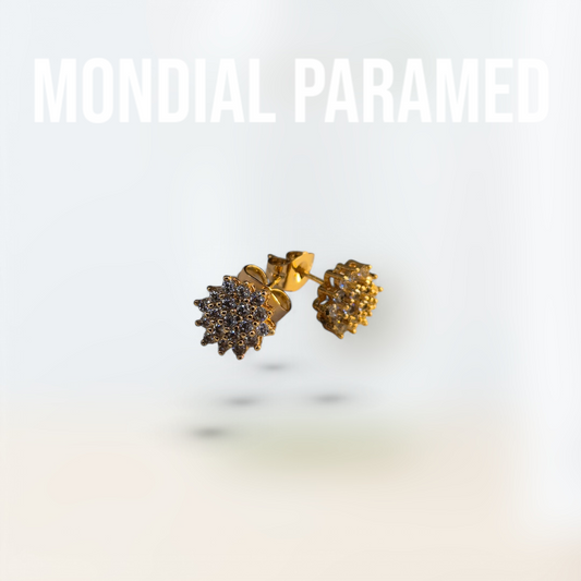 Boucle d'Oreilles #105