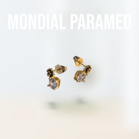 Boucle d'Oreilles #107