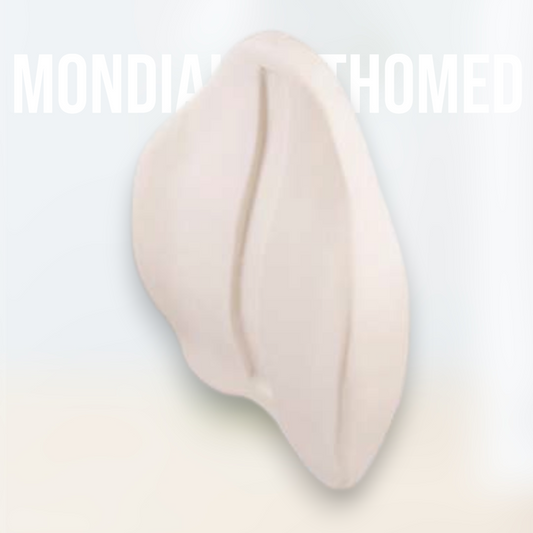 Coussin Lombaire Ergonomique (Mousse à Mémoire)